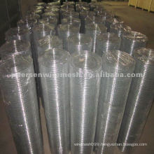 Black Iron Wire Welded Mesh (Factory) used as fencing, decoration and so on